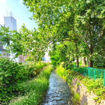 風景印（186）タマネギ型の風景印＜北12条郵便局＞