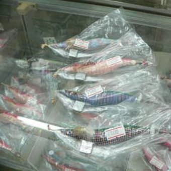鹿児島の釣具店 エギングでミズイカ 子犬の生活とファミリーフィッシング 鹿児島の釣具店 エギングでミズイカ 子犬の生活とファミリーフィッシング