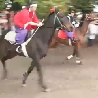 競馬の原型「足伏走馬」 馬が境内を駆ける（近江八幡市）