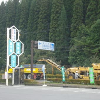 道路の怪獣