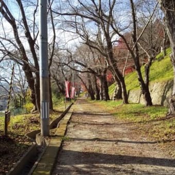 神社寺院教会巡礼⑤　烏帽子山八幡宮（＆公園）　南陽市赤湯