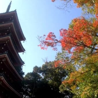 紅葉の五台山 竹林寺