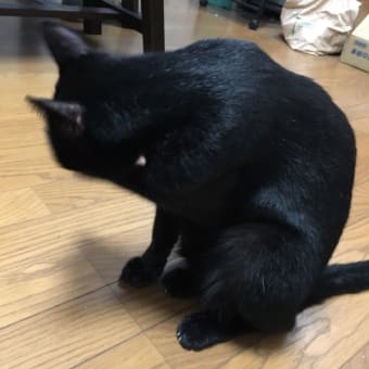 長いお出かけ