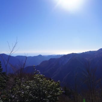 原因はブログ側だったけれど