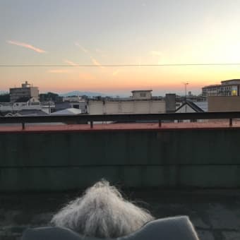 花火。