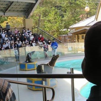 今年の花見は「水族館」