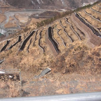 春の植樹デー（2011）植樹地画像