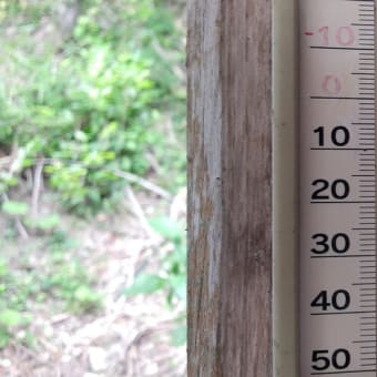 令和7年7月8日・今朝の東祖谷22℃（21.5℃）