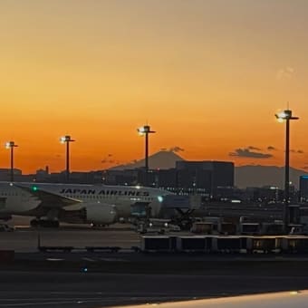 ⑬2024年最後の旅行🛩️は、シドニー〜最終ブログです。