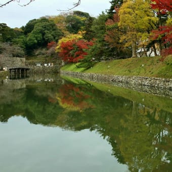 玄宮園　其の２（最終回）　（2011年12月06日　火　薄曇り　EOS5D EF24-105mmF4ISL）