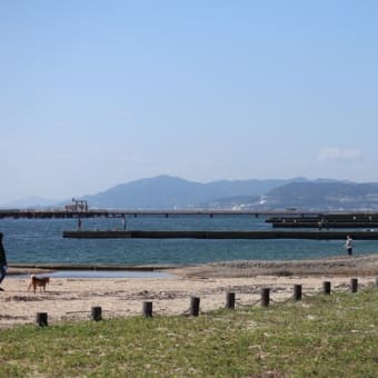 須磨浦公園（２）～須磨駅から須磨浦公園まで