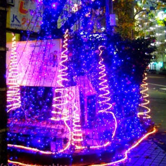 2007年　聖蹟桜ヶ丘クリスマスイルミネーション