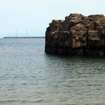 ひびき海の公園　〜6月〜