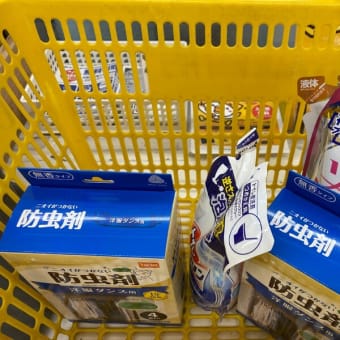 思いがけず？晴れた午前中は・・・