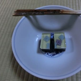 煎茶(習軒流)の稽古