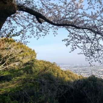 お花見　御津山園地