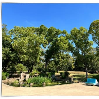 世界遺産 大仙陵古墳（仁徳天皇陵）、大仙公園でランチ＆堺市博物館へ行ってきました～