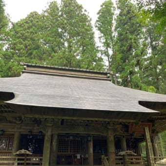 寺山観音寺のシュウカイドウ