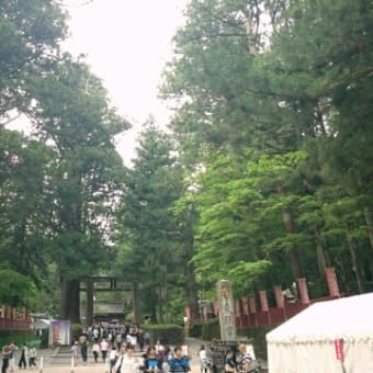 日光の思い出(ほぼ写真のみ)