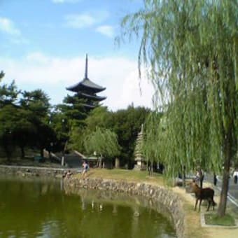 猿沢池