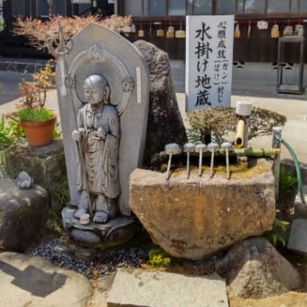 山口市瑠璃光寺の桜···🎵