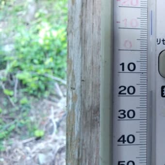 令和7年6月28日・今朝の東祖谷18℃（16.2℃）