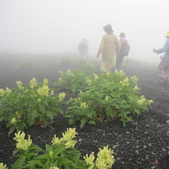 富士山五合目トレッキング