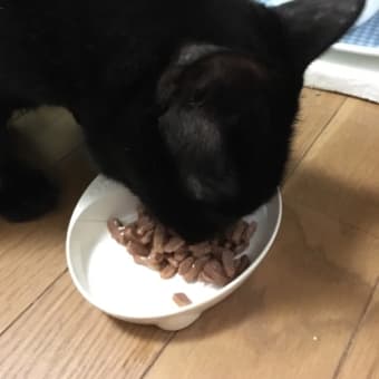 長いお出かけ