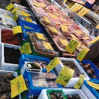 魚あそび～水族館～魚屋さん