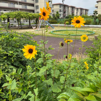 ゆっくりと… 7月5日