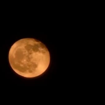 ほったらかしで初のダイノジ！【３】