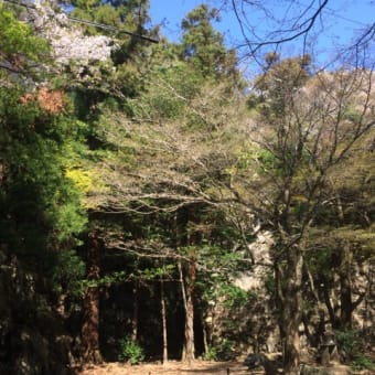 4月9日の金華山  見たことのない青