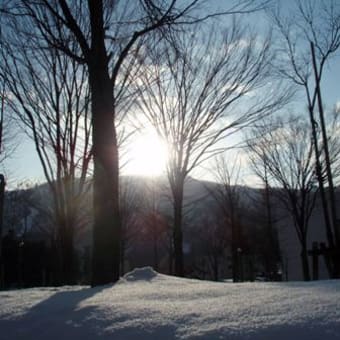 越後湯沢の桜の名所☆湯沢中央公園の雪景色☆