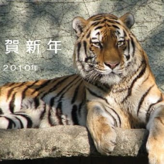 ２０１０年を祝う