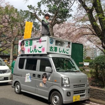 相模原市議会議員選挙、古澤しんご候補のお手伝いに行ってきました！