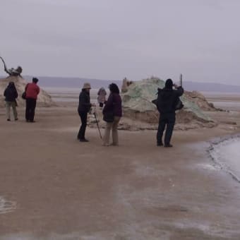 チュニジア旅行（１３）　砂漠の近辺にて　再掲