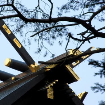 神楽岡公園散策