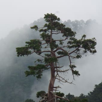 大台ケ原　デジタル