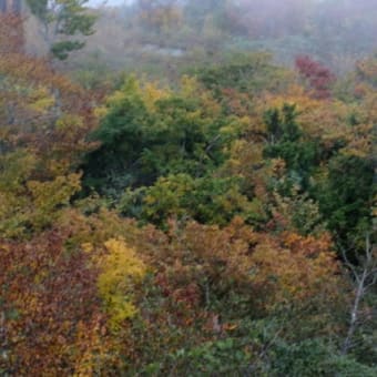 リフトから 流れる景色 写す秋　「白馬五竜高山植物園」