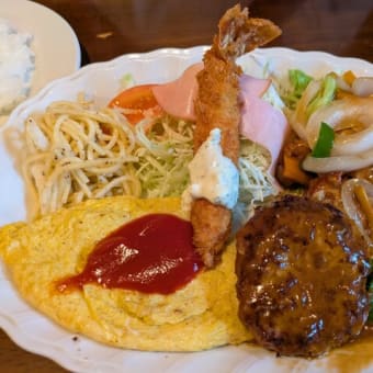 グリル　トンボ④（鳥取市）