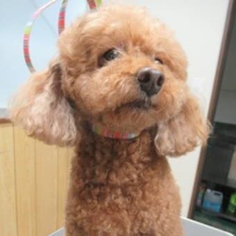 今日も暑いけど頑張ろう～！！