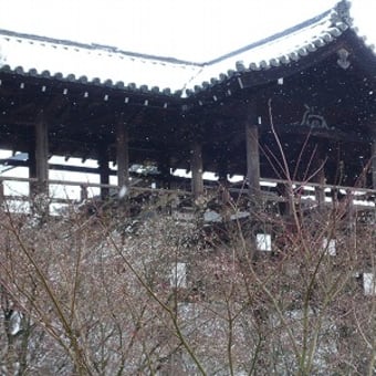 2012年2月18日(土)　東福寺　通天橋