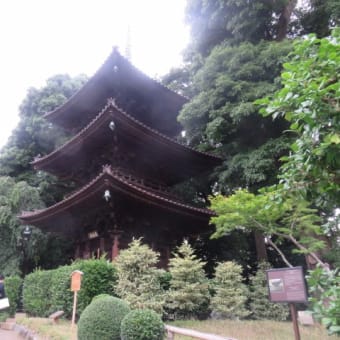 2017年6月27日　火曜日　「椿山荘」②