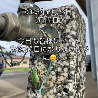 2025/06/23