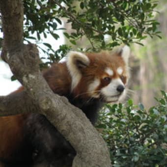 東武動物公園