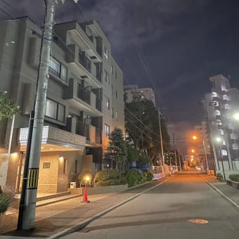 ◇　夜散歩
