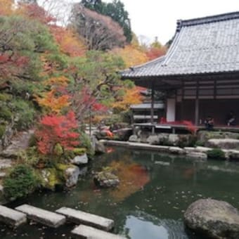 湖東三山「西明寺・金剛輪寺・百済寺・永源寺」令和五年11月24日金曜日（2023年）