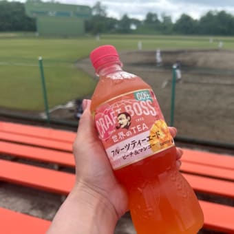 秋田プチ旅行〜🚘