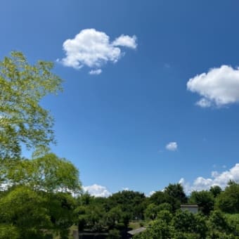 目が楽になりました♪