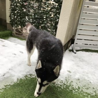 ❄️